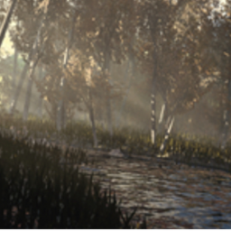 The Forest