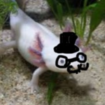 Skull snappers