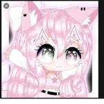 Gacha fans and panda fans