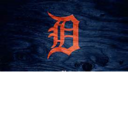 Comerica Park