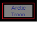 Arctic Troops