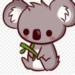 Baby koala bear