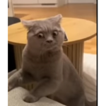 DONT MIND ME :)