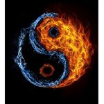 Koi's YT Group