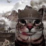 Military Gato Group