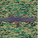 Special Operations Task Force [--]