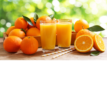 Orange Juice Land