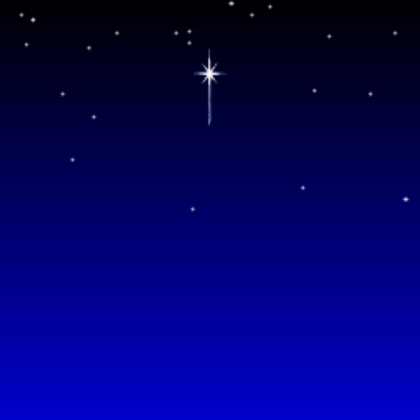Christmas Night Skybox