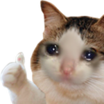 HoneyBearsYASSSSSSSSSSSSSSSS