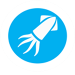 Calamari Studios