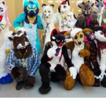 The Furries United