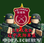 [PLAGOH] 沈阳军区三军仪仗队