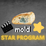Moldy Bread Studios Star Program