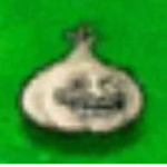 garlic town