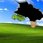 we turtles