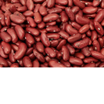 BEAN FANS!