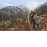 Creek's Public Film Crew!
