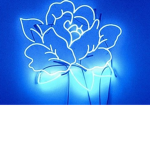 Blue army<3