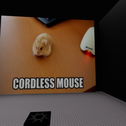 CORDLESS MOUSE LOLL XD