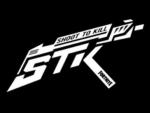 SHOOT TO KILL |STK|