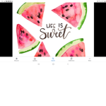 The Watermelon Fam