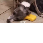 Yummy soap