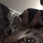 Zewki