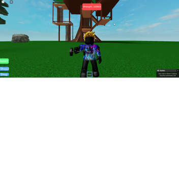 Weight Lifting Simulator