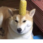 Corn dog :]
