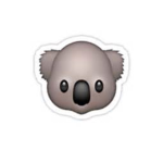 #TeamKoala4Life
