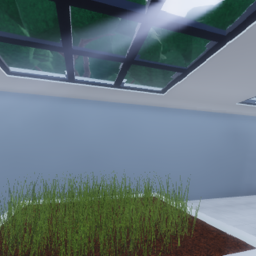 Indoor Garden