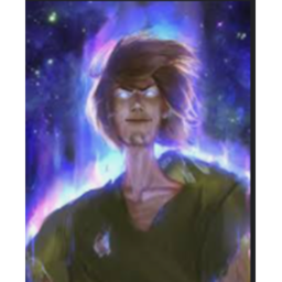 you vs shaggy