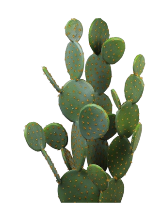 Square Two-Sided Decal
