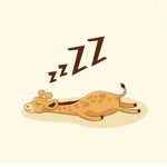 ~•Lazy Giraffes •~•