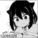 متجر حبي