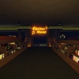 [1.2] Cactus Music | Vinyl and CD Store