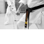 Peaceful dojo fans