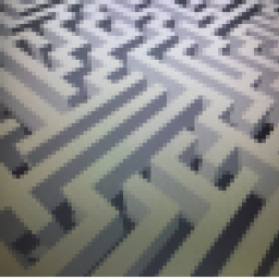 The Maze