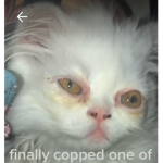 LxnleyMind