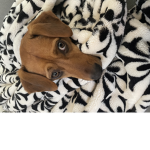 Liliannaw123