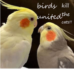 birb gang in tower defence simulator