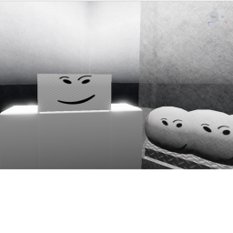 The Company