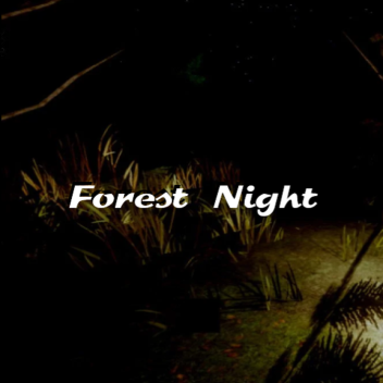 Forest Night