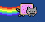 NYAN group...