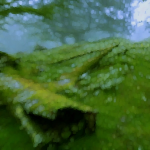 green 832