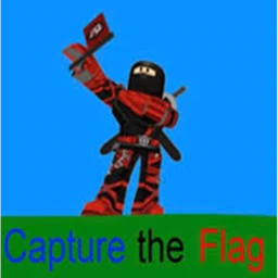 Capture The Flag  icon