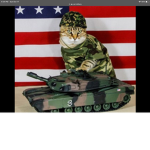 CAT ARMY (among us lolol )