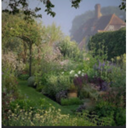 Warp Garden
