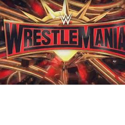 WRESTLEMANIA 1