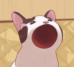 popcatto